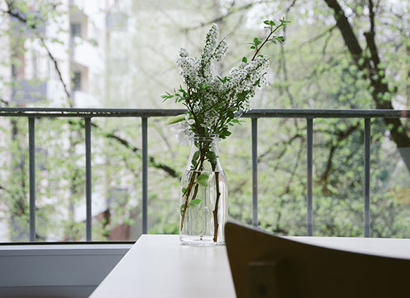 10 Reasons Why Every Office Needs Plants and Flowers