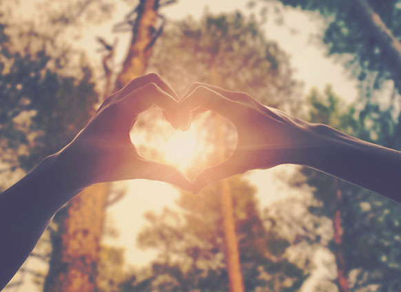 Rohn: 6 Essential Traits of Good Character