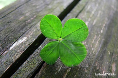Lucky ART 400x267