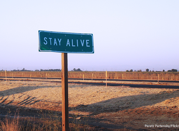 Stay Alive