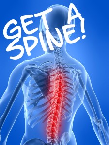 Spine 225x300 1