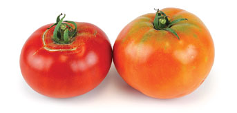 Myway Tomatoes