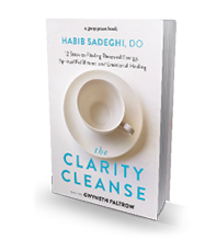 The Clarity Cleanse 3d
